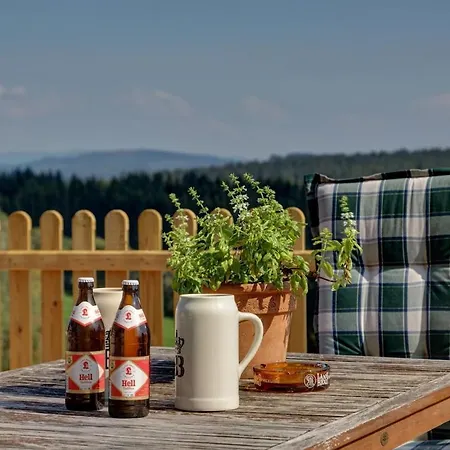 Stilvolle 120 Qm Im Gaestehaus Wistlberg Mit 3 Schlafzimmern Und Grossem Balkon Mitten Im Nationalpark Lejlighed